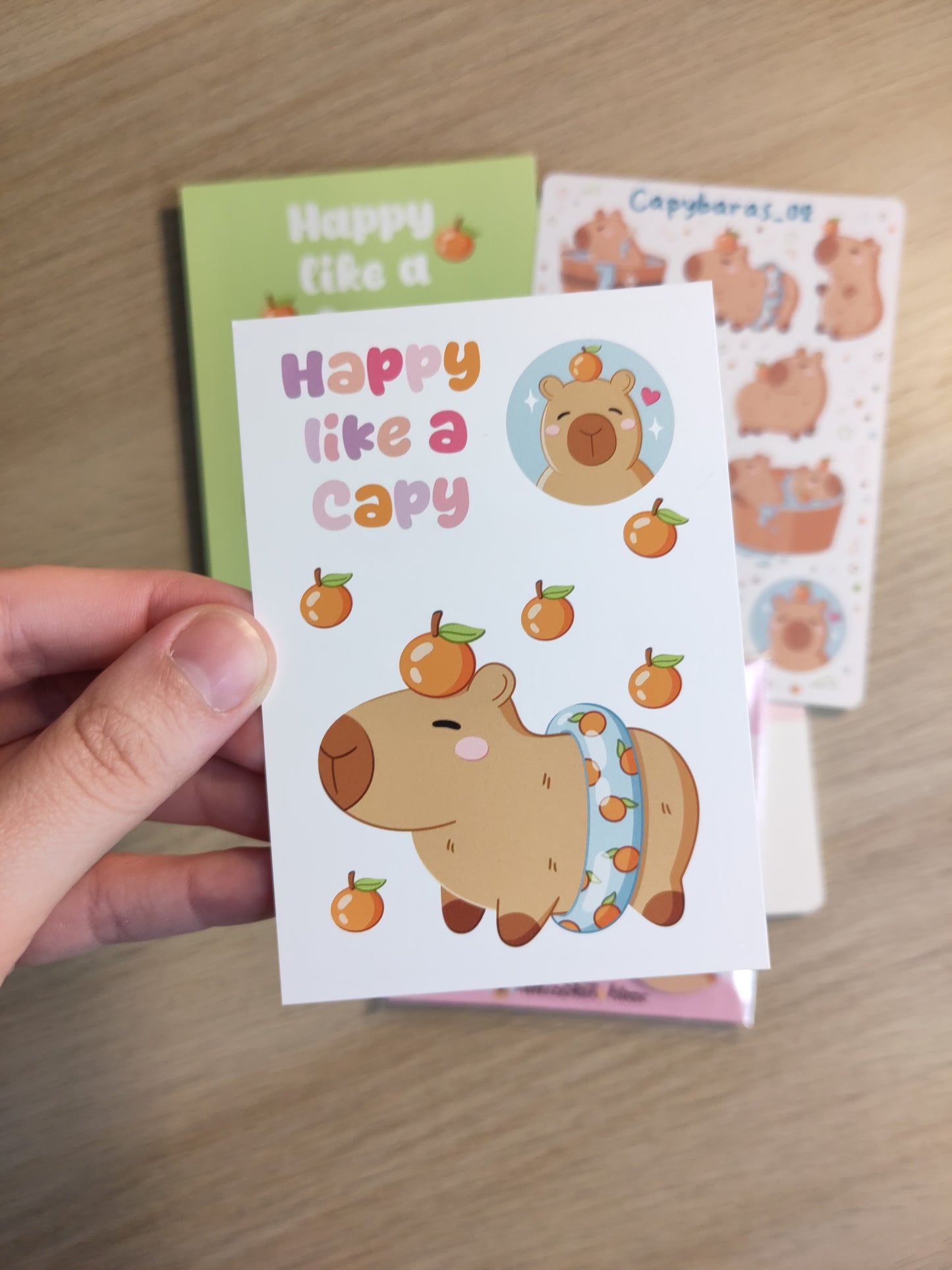 Big Bundle - Capybaras (You save 20%)